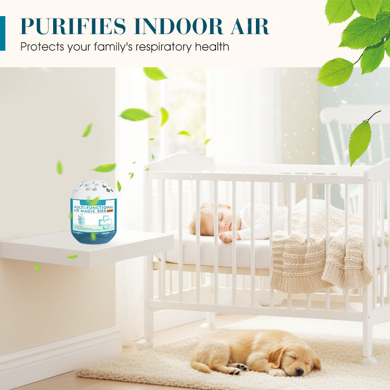 📢📢 –50 % OFF ! ✨ Boîte magique purifie l’air & élimine la poussière -Remifa®